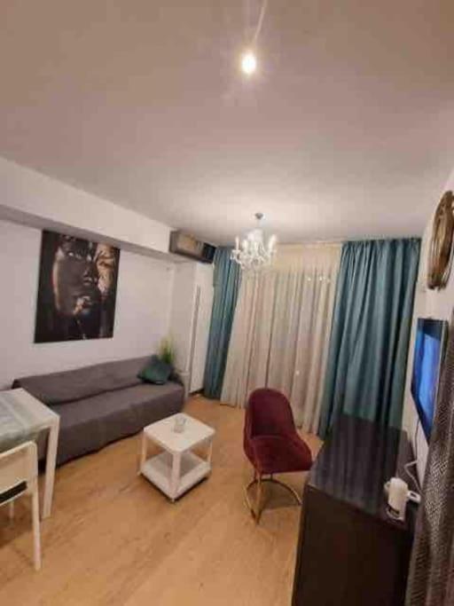 Апартаменты Chic Studio Pallady Бухарест Экстерьер фото